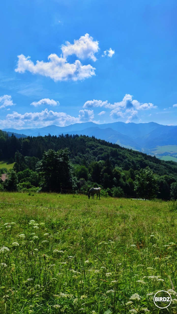 za 2 dni 109 km (v pozadí M.Fatra)