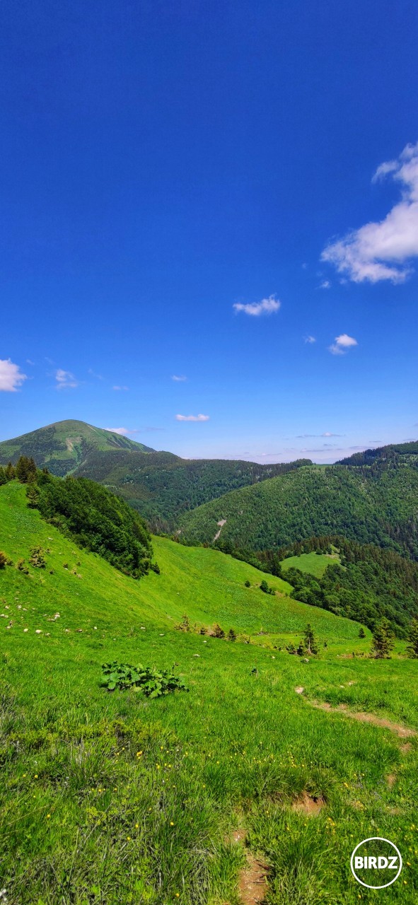 tam vzadu som bol min. týždeň ... dnes Chleb