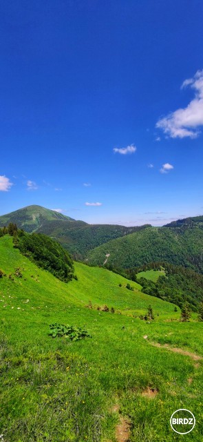 tam vzadu som bol min. týždeň ... dnes Chleb