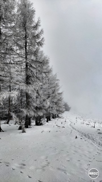 dnes azuro nebolo