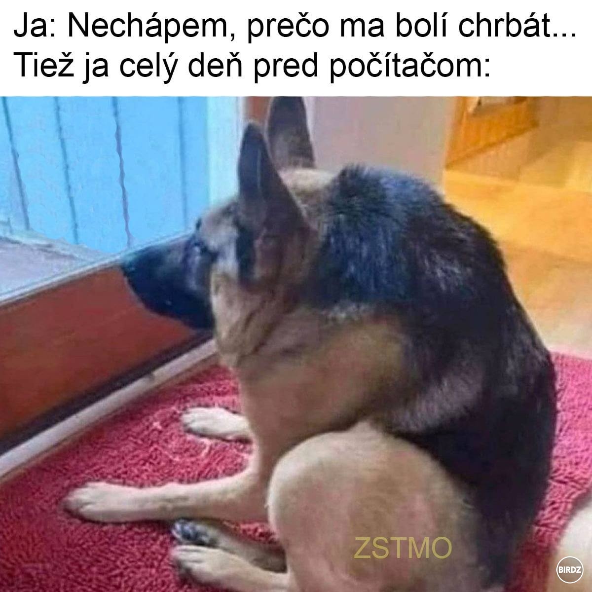 Obrázok bez popisu č.1080988