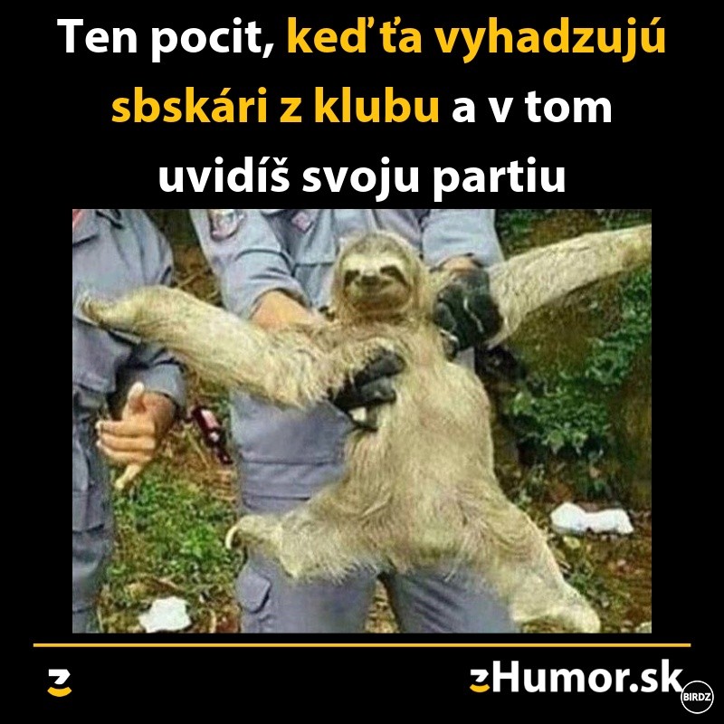 Obrázok bez popisu č.1081496