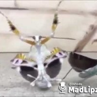 Ukážka z nezaradených obrázkov