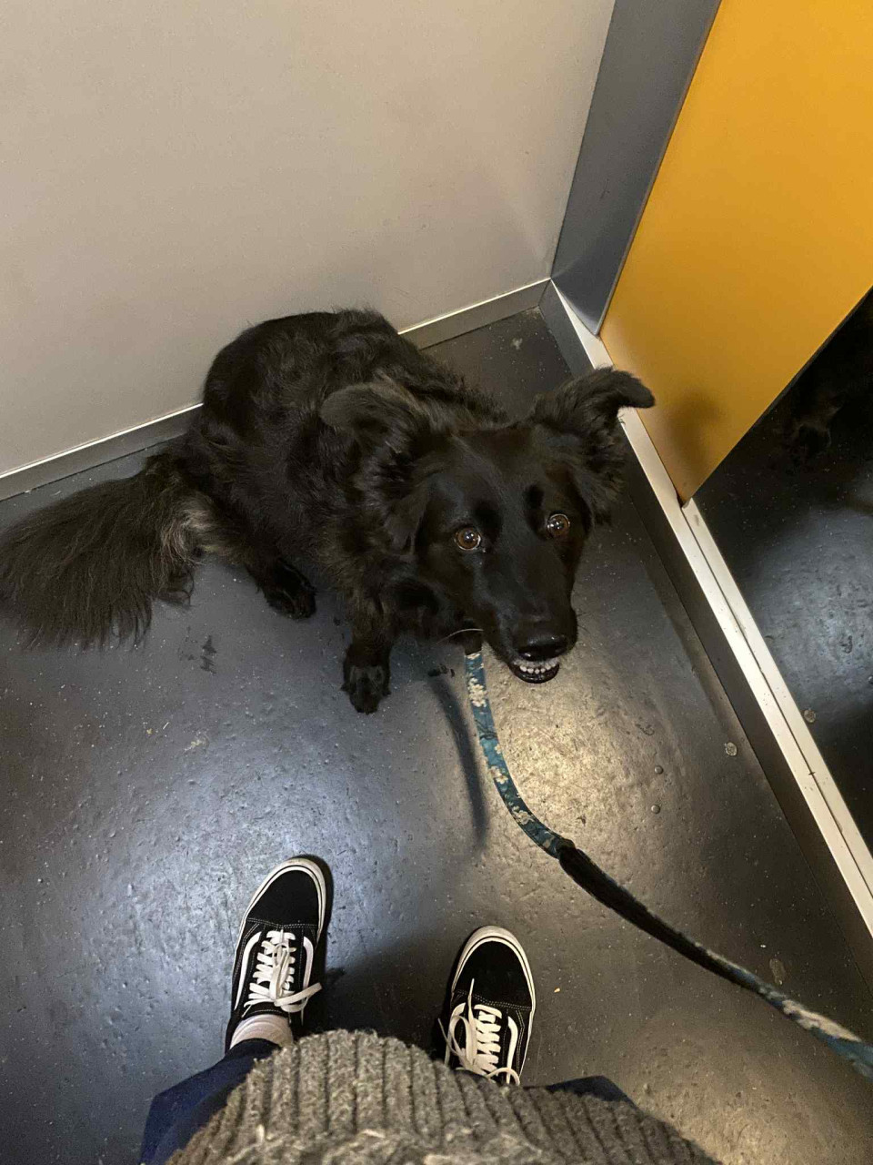 môj fav posteľový parťak 