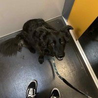 môj fav posteľový parťak 