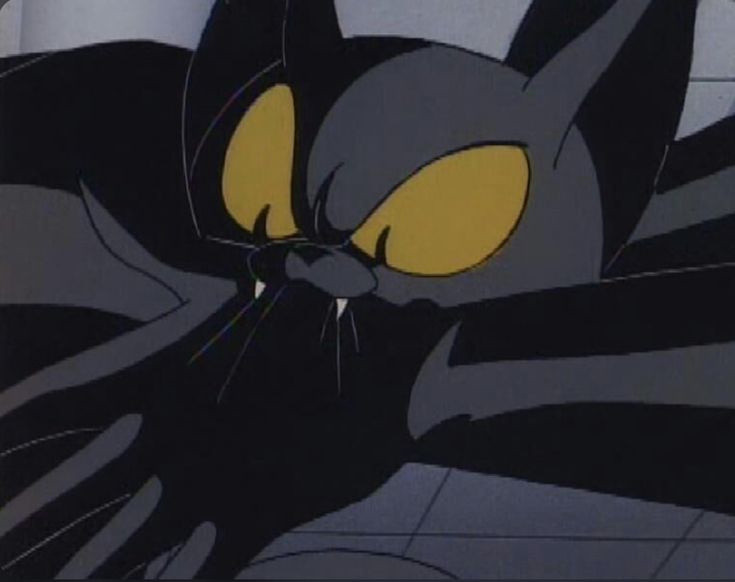 Obrázok bez popisu č.1095286