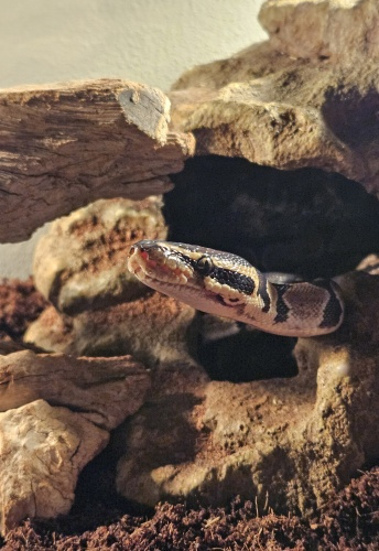 whats up mtv, welcome to my crib