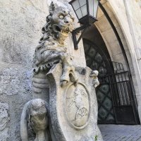 Ukážka z nezaradených obrázkov