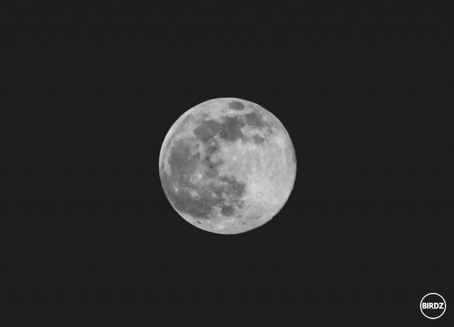 krásne svieti mesiac 
