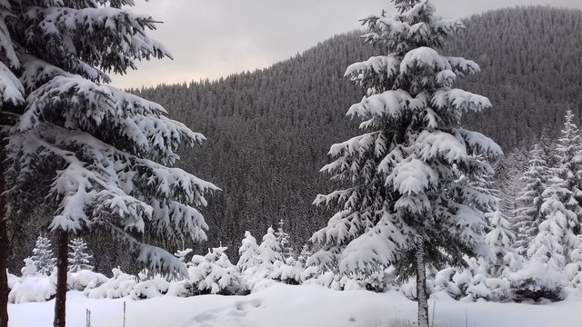 Obrázok bez popisu č.1029343