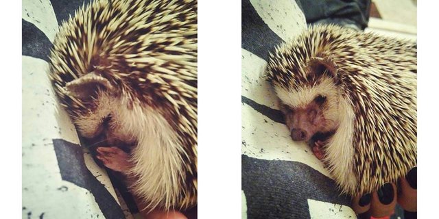 PURE LOVE! ♥