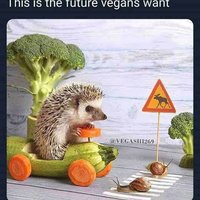 ↑