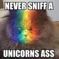 unicorn