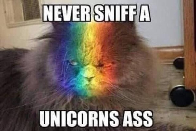 unicorn