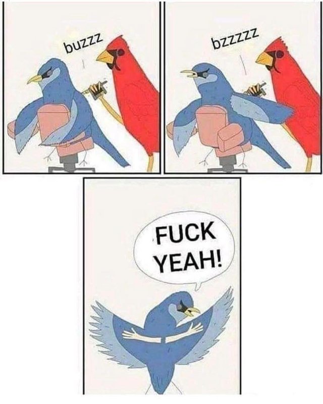 ! ! !