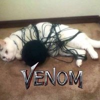 venom :D