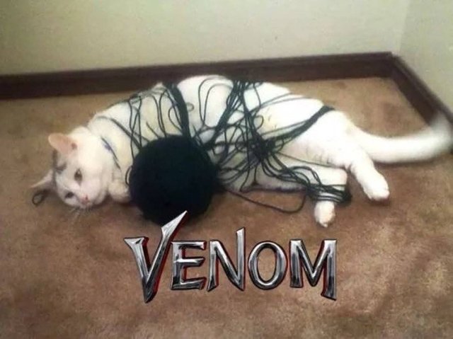 venom :D