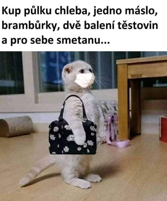 mač nakúpca, lebo on/a môže :D 