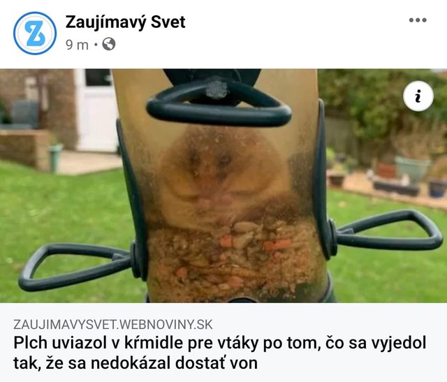 životný ciel :D  