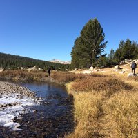 v alpinskej časti Yosemite