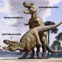 pre toto boli vyhubené dinosaury! :(