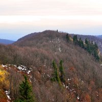Ukážka z nezaradených obrázkov