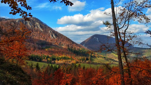 autumn...