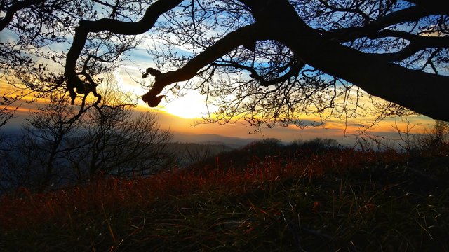 sun goas down...
