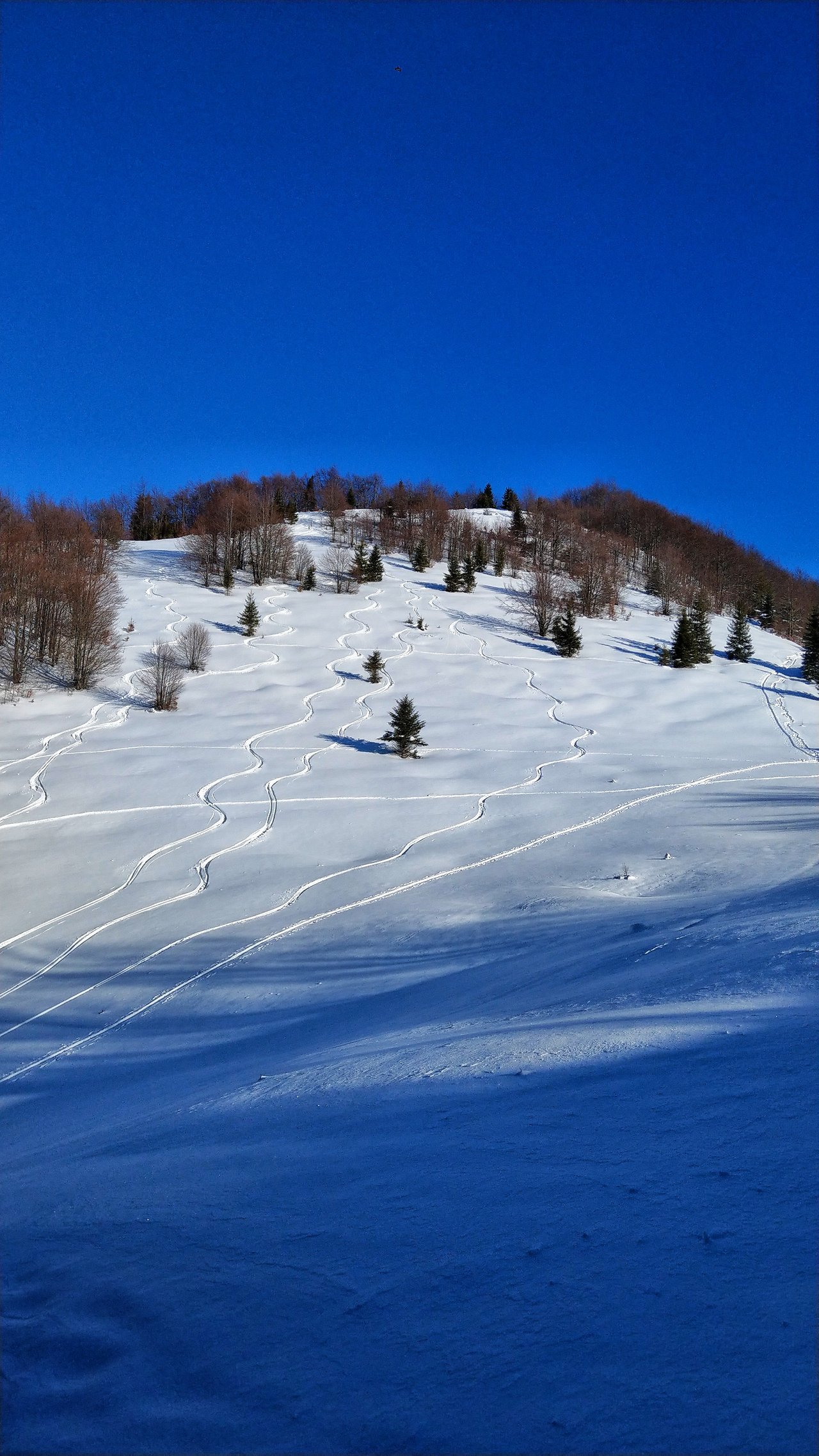 #snehupokolena