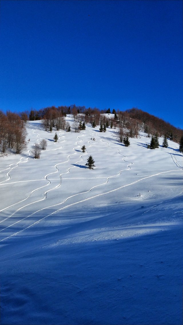 #snehupokolena