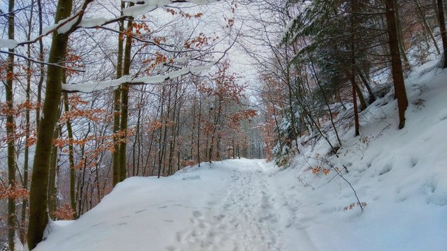 walking...