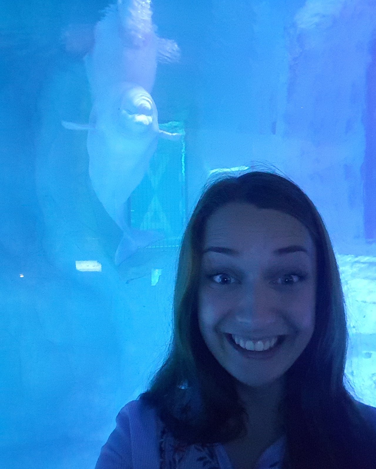 Beluga ♥