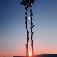 The Lamps are different, but the Light is the same.

~ Rumi
Image:  Bess Hamiti