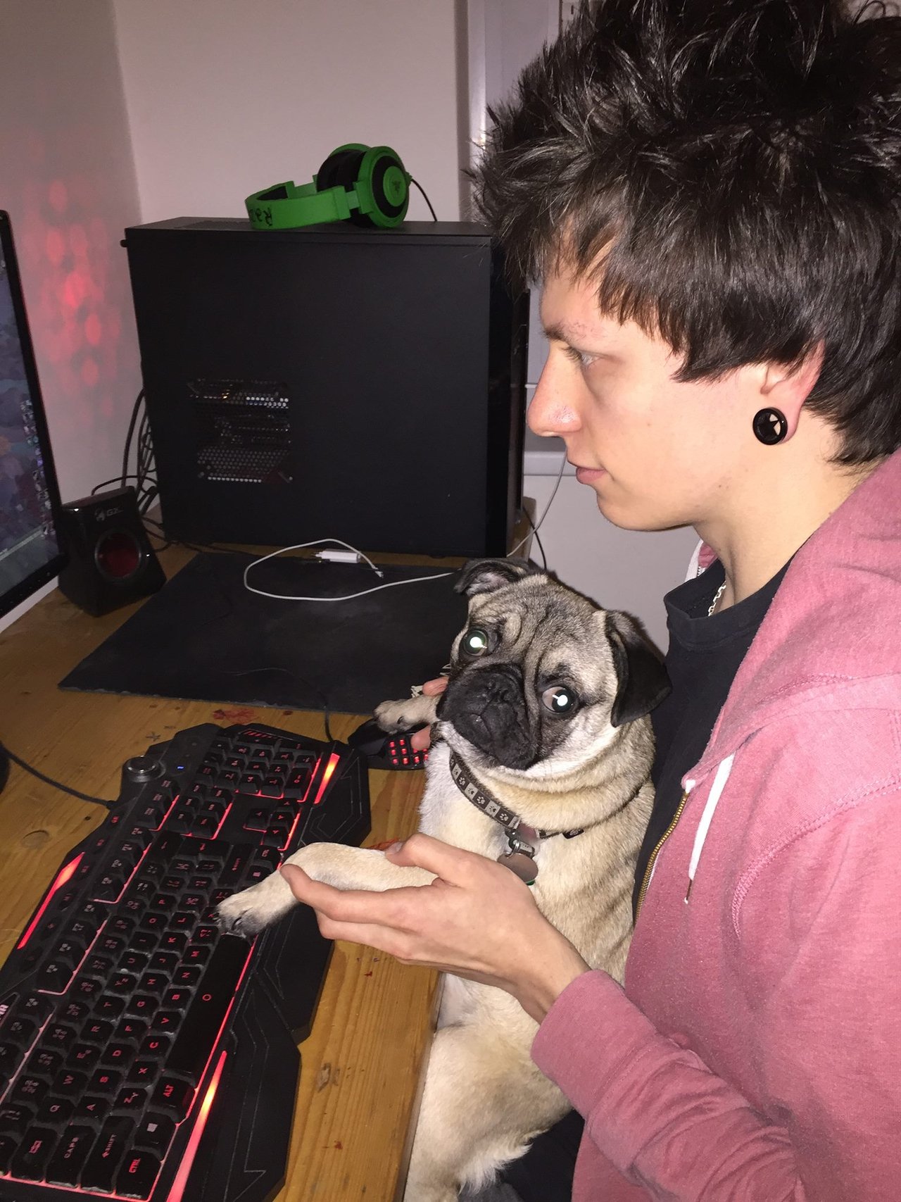 Gemblér malý :-D
