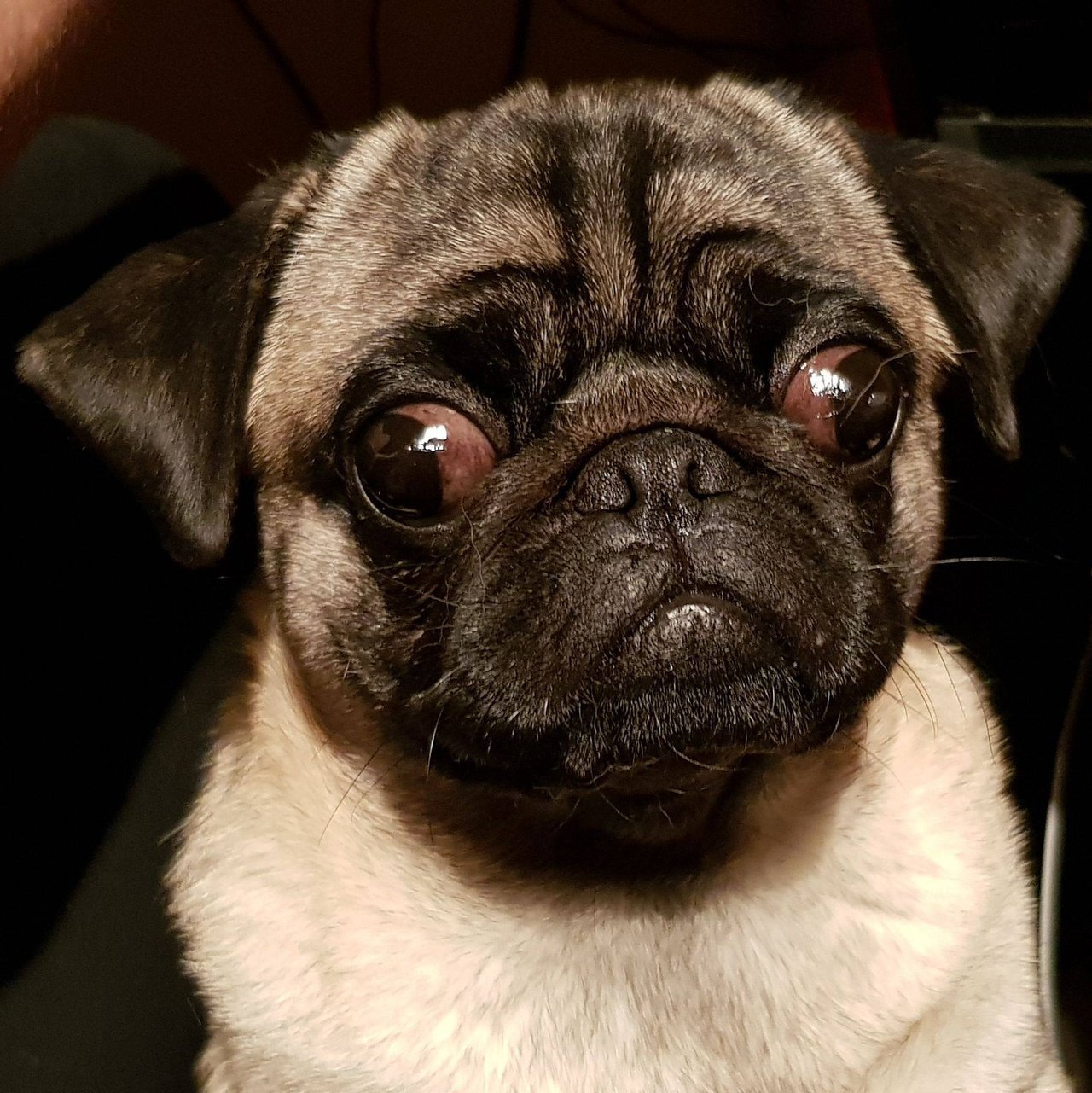 Say no to this face :-D