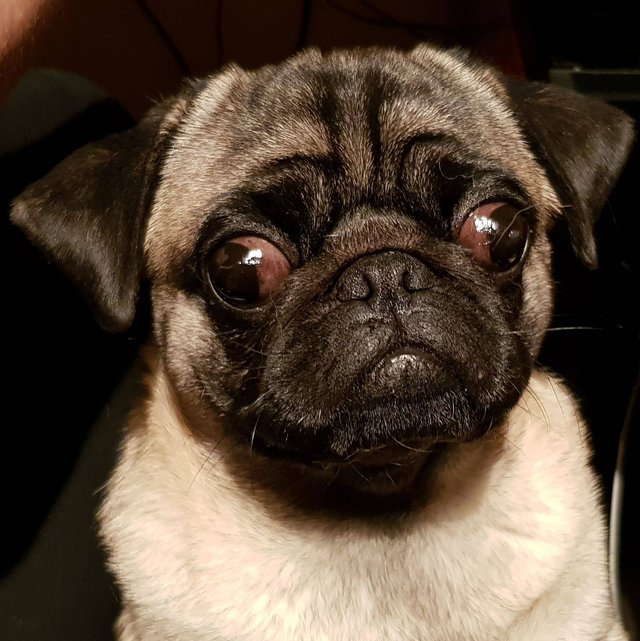 Say no to this face :-D