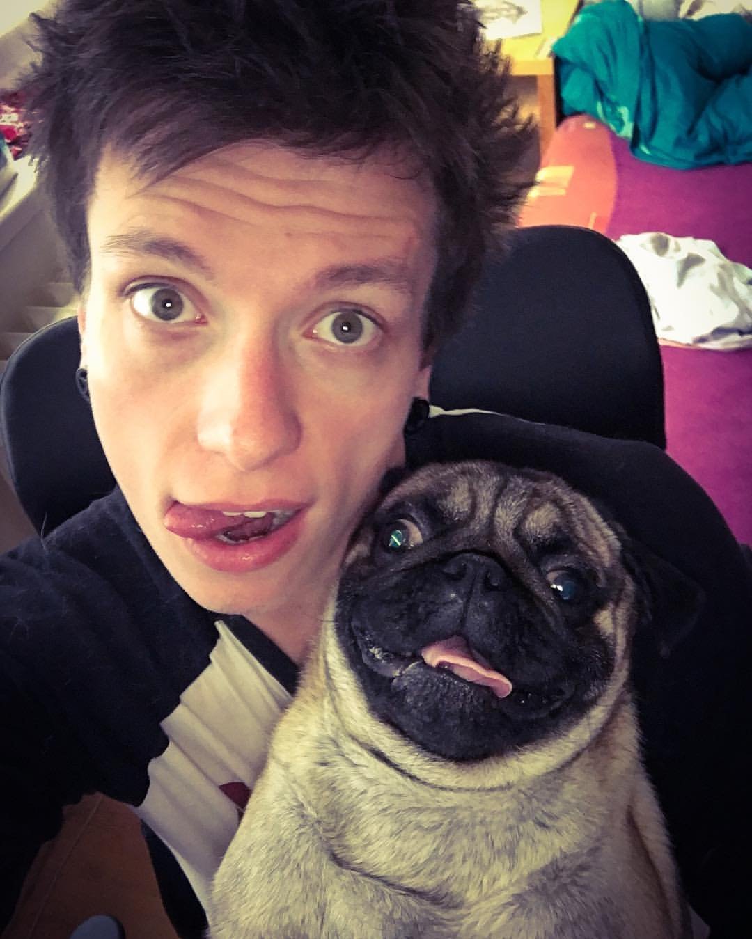 Opakovací papagáj :-D