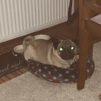 Alien pug :-D Keď sa malý napchá, napchám sa aj ja :-D