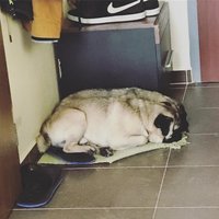 Zzz :-D