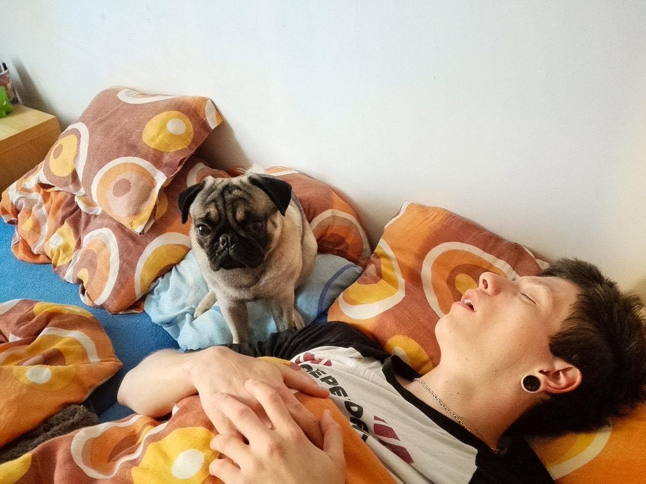 Heeej kamoš už sa zobuď... nudím sa :-D