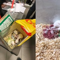 Dnes nás niekto vyhodil pred Super ZOO obchod a nechal nás v zime v taške... dobrý ujo sa nás ujal a sme v teple a dokonca máme aj prírastky :-)