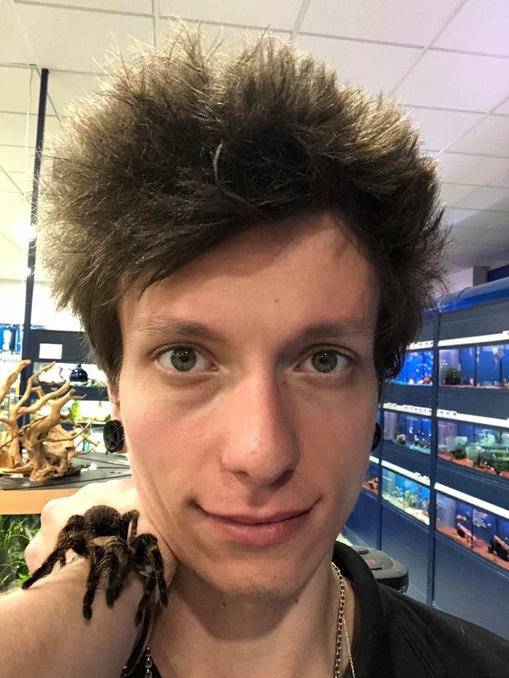 Kaktusen on da hlava... musí to už ísť dole je to nepraktické a samozrejme brachypelma albopilosum :P