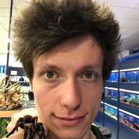 Kaktusen on da hlava... musí to už ísť dole je to nepraktické a samozrejme brachypelma albopilosum :P