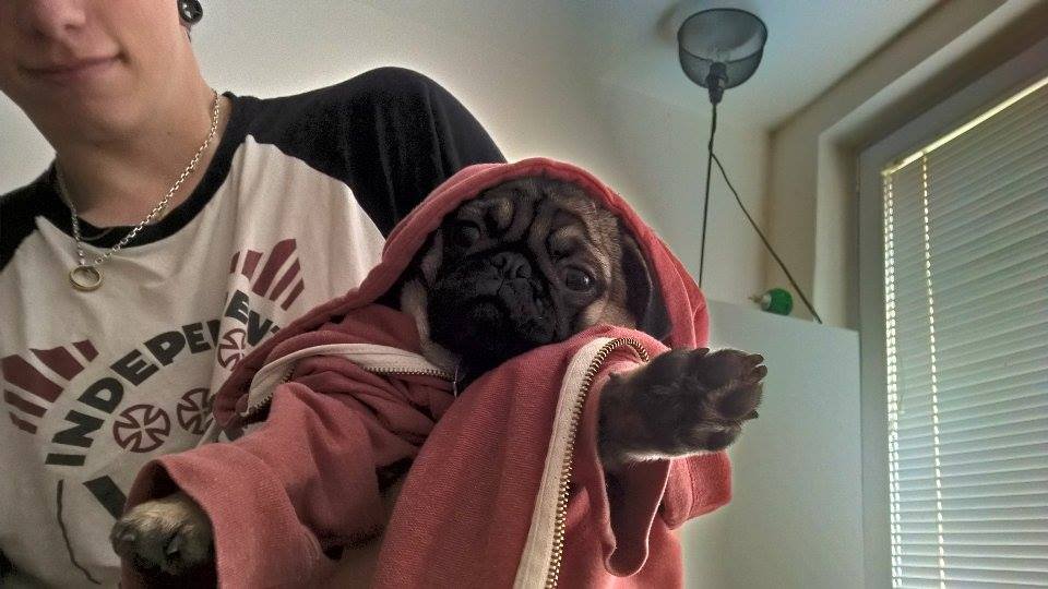 Sup niggaz! :-D