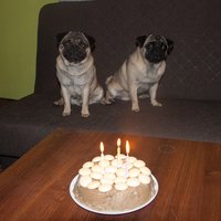 Všetko naj Frank :-) Už 3 roky mi spríjemňuješ život a robíš ho šťastnejším :-) Za nič na svete by som si ťa nedal ♥ 