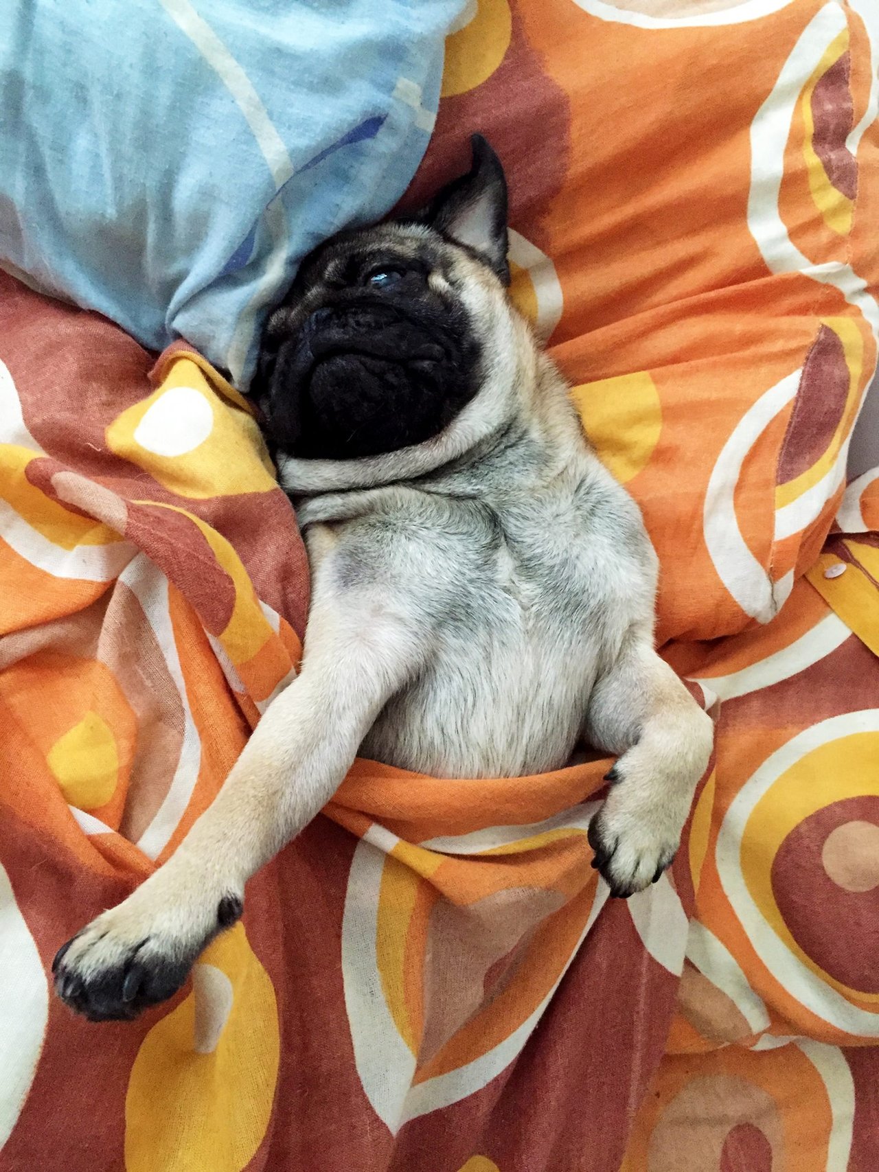 Zzz :-D