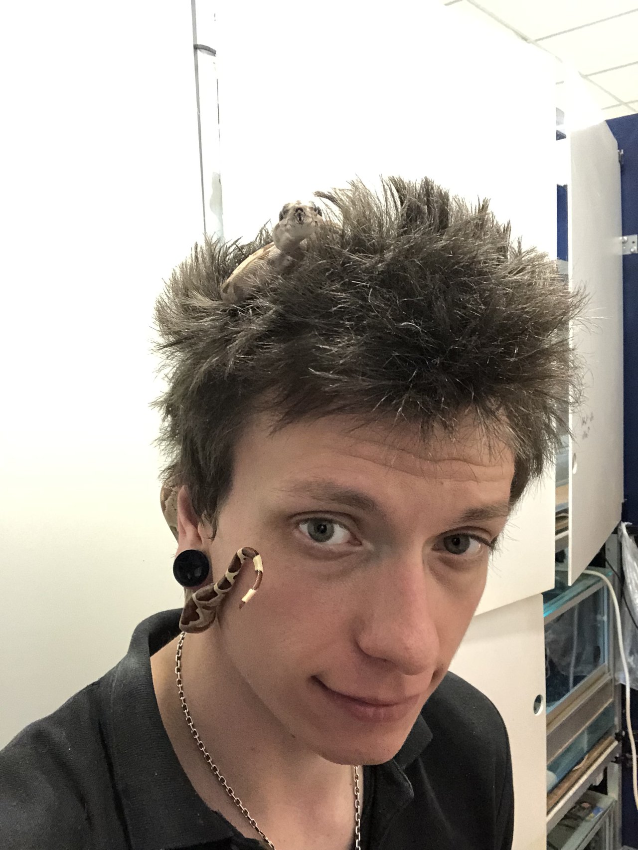 Zvedavá hadička :-P