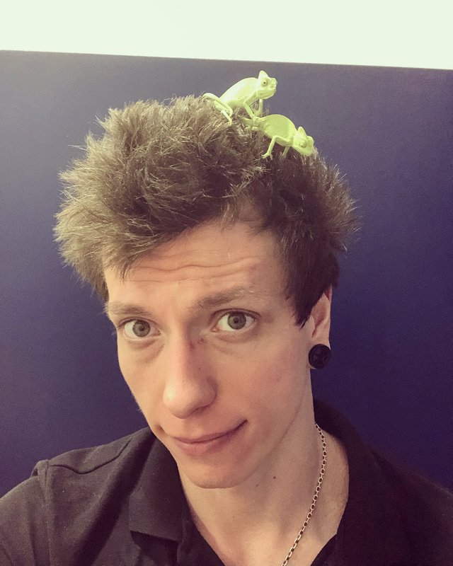 Načo terárko :-P