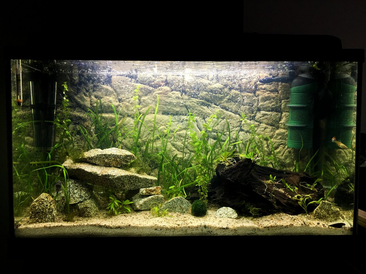 Progress :-)