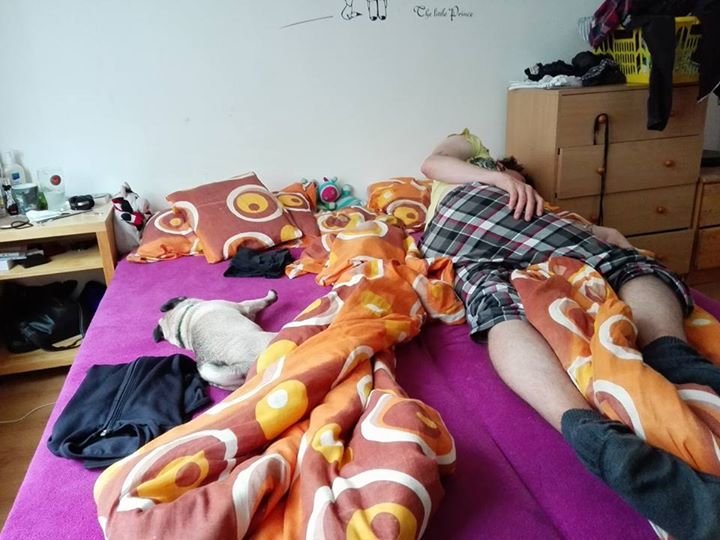 ZZZzzzZZZzzz